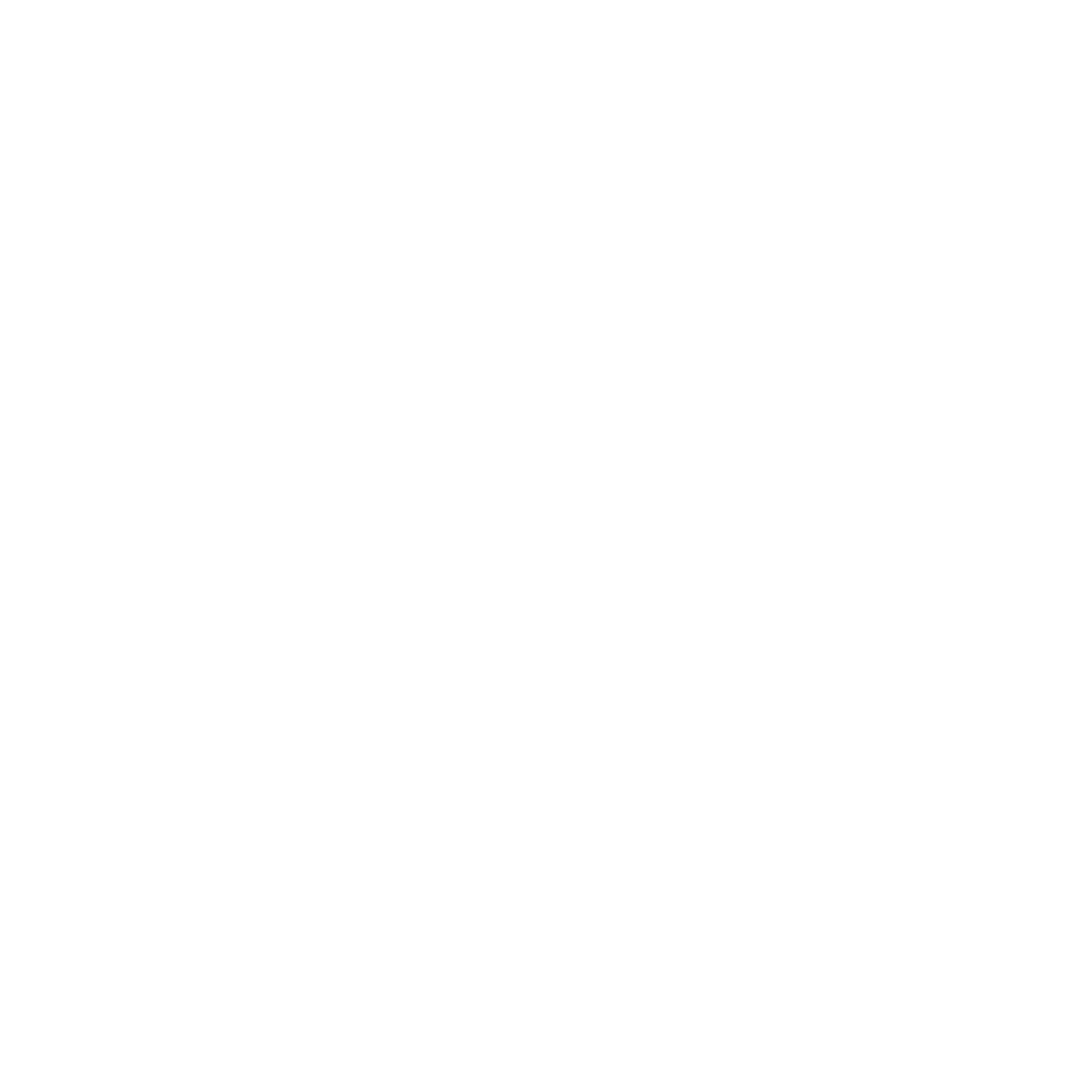 ana logo